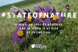 State of Nature graphic