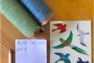 Binoculars made from loo rolls and wool displayed with bird spotting notes
