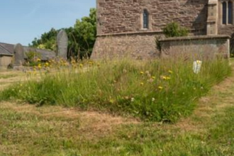 Long grass with mown paths in front and wall of church behind