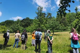 Group of adults stood with backs to the camera in field in sunshine with trees around
