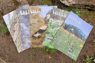 a selection of Wildside Magazines faned out on the ground. There are rocks, leaves, moss and mud showing