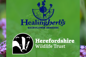 healing herbs and hwt logo 