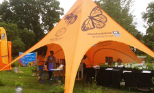 Orange tent with butterfly illustration on it and a stall/ display within