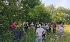 A work party group of adults in outdoors clothing stood in a circle in a meadow with tall green trees in the backgroud. They are stood in a circle listening to a Nature Reserves Ranger discuss the meadow