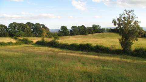 View over meadows bordered by hedges
