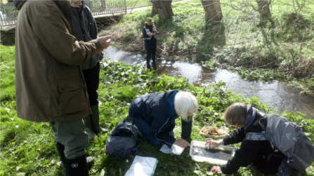 People stood and sat beside a stream looking at things in a white tray