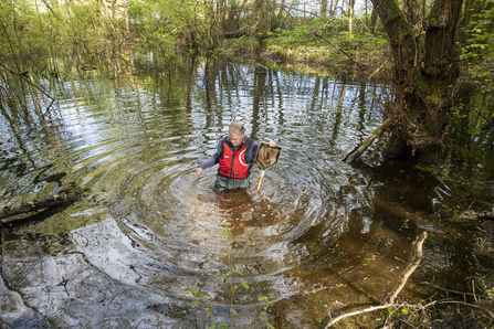 Man stood in large natural pond holding a pond dipping net