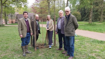 Four adults stood around a newly planted tree on an area of grass
