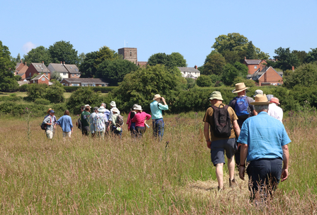 Group of people walking away from viewing through a field of long grass; church and houses visible in distance