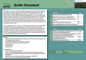 acidic grassland
