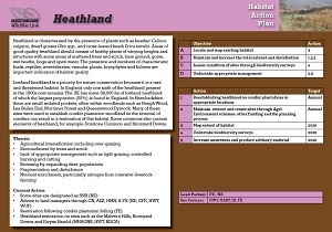 heathland