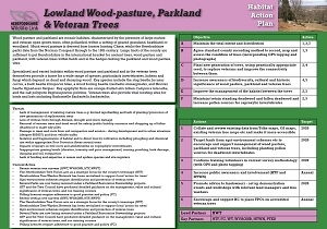 lowland wood pasture parkland