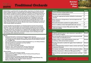 traditional orchards
