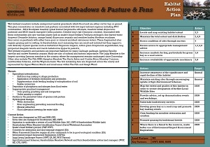 wet lowland meadows pastures and fens