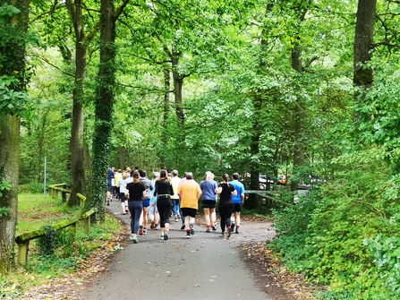 Group of runners running away from viewer in woodland setting