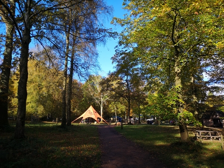 View of large tent in distance in woodland with path running to it