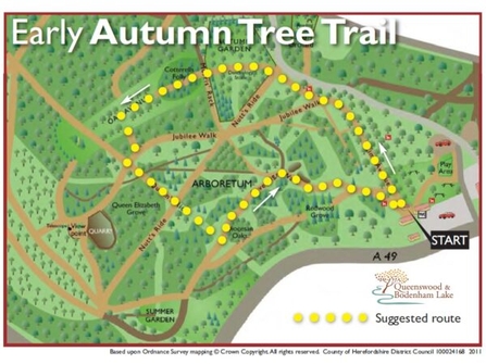 Early Autumn Tree Trail Map