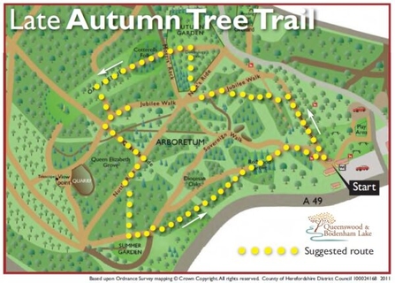 Late Autumn Tree Trail Map