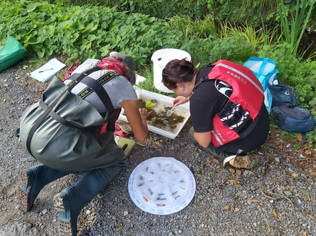 Two women in waders and life jackets kneeling on a path looking into a white tray