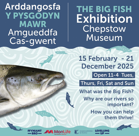Advert with fish head photo and blue and white text