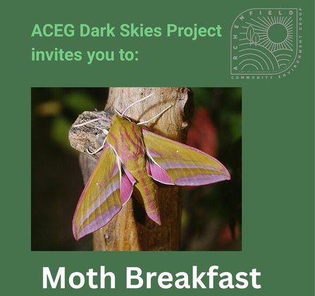 Poster with dark green background and photo of large pink and yellow moth