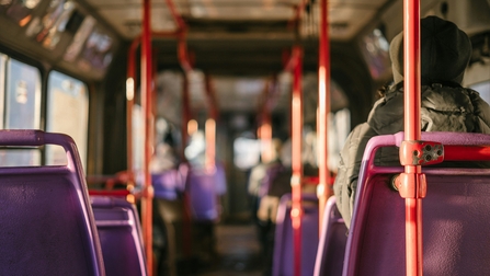 View from back of a bus past purple seats
