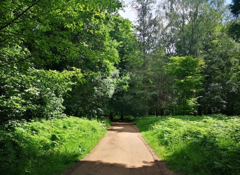 Path at Queenswood