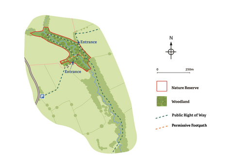 Holywell Dingle site map