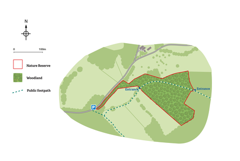 Littley Coppice site map