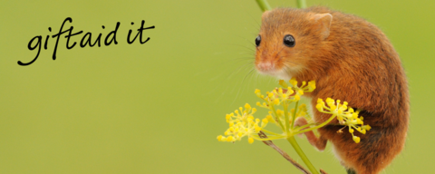 Herefordshire Wildlife Trust Gift Aid Declaration