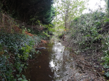 View along stream with vegetated banks each side