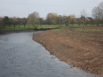 River with bare earth bank to the right and an orchard in the distance