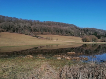 View across landscape with pool in foreground, grassy slope behind, rising to woodland in winter; deep blue sky above