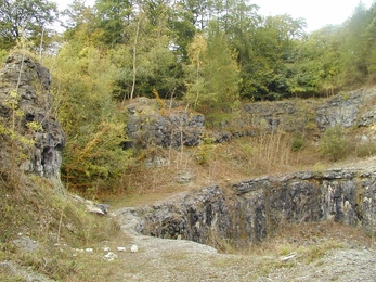 Lord's Wood quarry