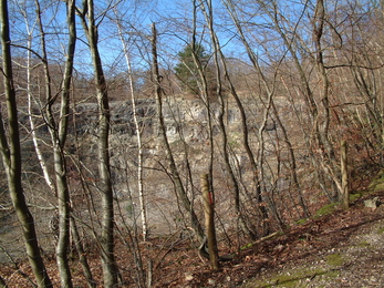 Lord's Wood quarry edge