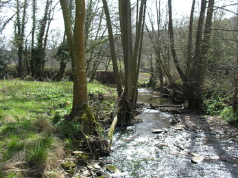 The Parks Nature Reserve Dulas brook