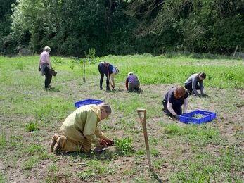 Six people kneeling spaced out around an area of grassland with spades and blue trays with them