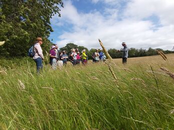 Small group of people stood in a field on a sunny day in long grass