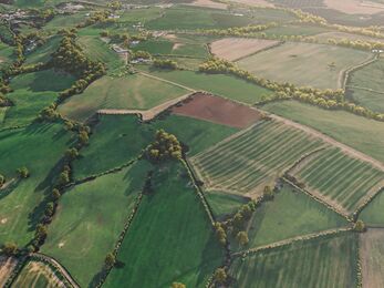 Drone photo looking down onto a patchwork of green fields
