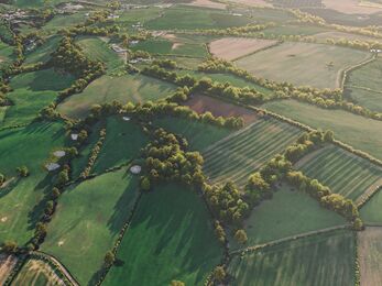 Drone photo looking down onto a patchwork of green fields with dense tree planting along boundaries