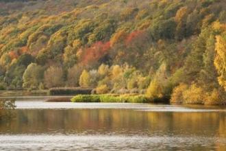 Bodenham Lake
