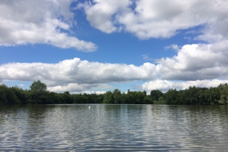 View across lake with trees in background