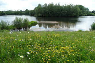 View across lake with wildflowers in foreground
