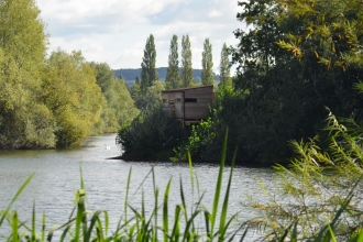 View of tree-lined lake with bird hide