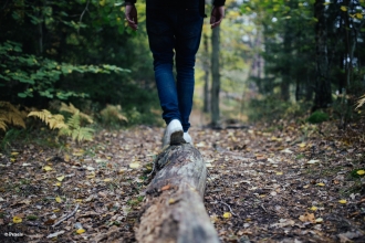 Legs of a person walking along a log in a woodland