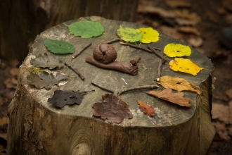 woodland craft activity with coloured leaves and snail model