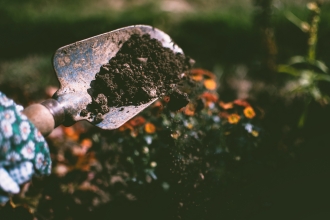 Trowel and soil with flowers in the background