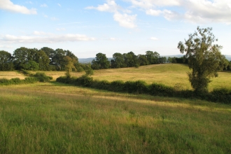 View over meadows bordered by hedges