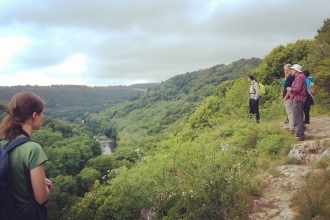 Viewpoint on the Doward