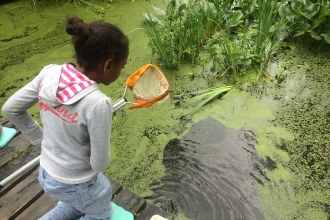 Girl with net by pond